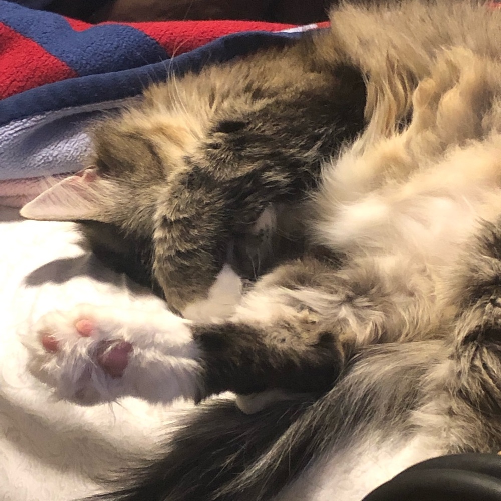 Meet your Posher, Chris